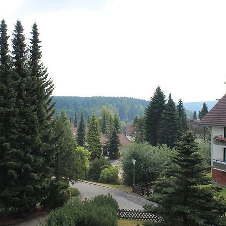 Ferienwohnungen Luebbers Braunlage Dış mekan fotoğraf
